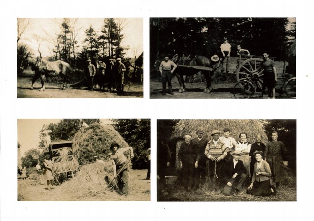 photos famille le dantec 3